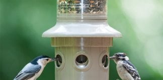 Have you heard about the "Eliminator" Bird Feeder from Wild Birds Unlimited of Paramus?