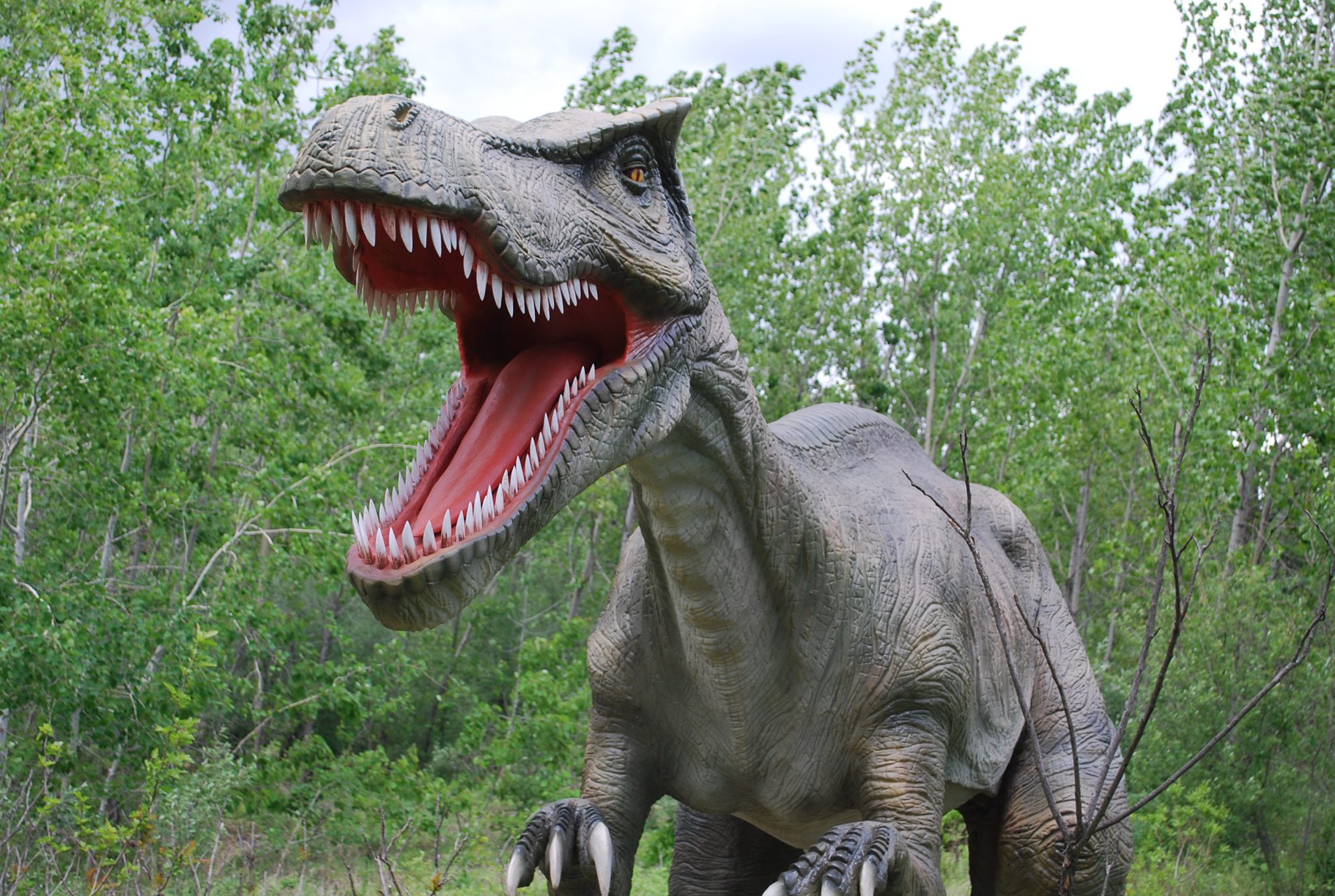 Special Events at Field Station: Dinosaurs This Weekend