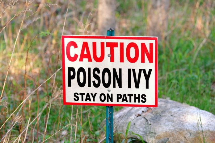 How can you avoid poison ivy? How do you get this rash? What are the symptoms of poison ivy? How should poison ivy be treated?