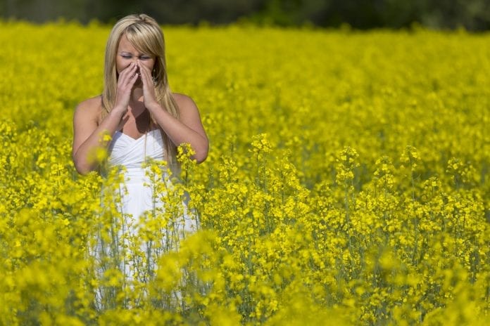 Is the Longer Allergy Season Getting to You? Consider Acupuncture as Treatment Option