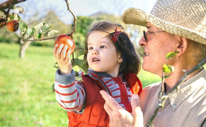 Apple picking not far from NYC.