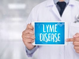 Lyme disease and children: What you should know about tick bites, Lyme disease symptoms and treatment. Read more on mybergen.com