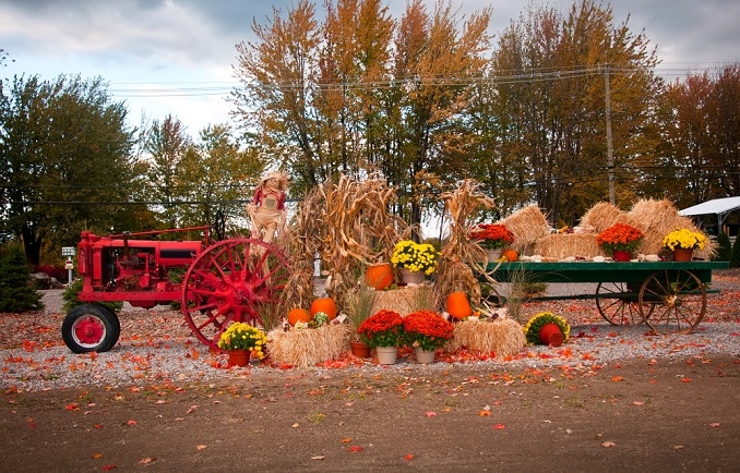 Bergen County farms and fall family fun featured on mybergen.com!