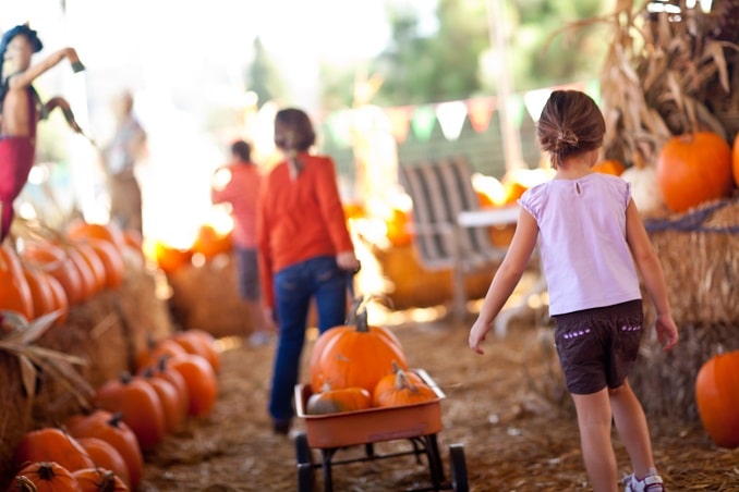 You'll find the best places to go for pumpkin picking in Bergen County on mybergen.com.