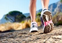 Annual Lost Brook Trail Race at Tenafly Nature Center