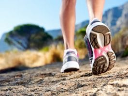 Annual Lost Brook Trail Race at Tenafly Nature Center