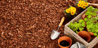 Importance of mulch in the garden