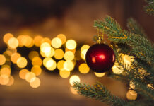 Tips on how to care for your live Christmas tree. Read more on mybergen.com.