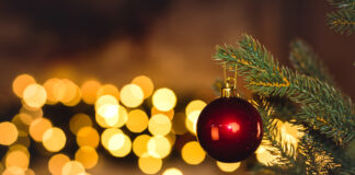 Tips on how to care for your live Christmas tree. Read more on mybergen.com.