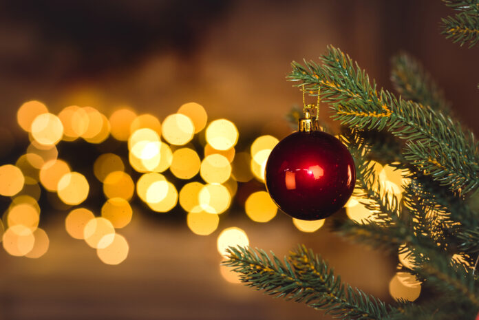 Tips on how to care for your live Christmas tree. Read more on mybergen.com.