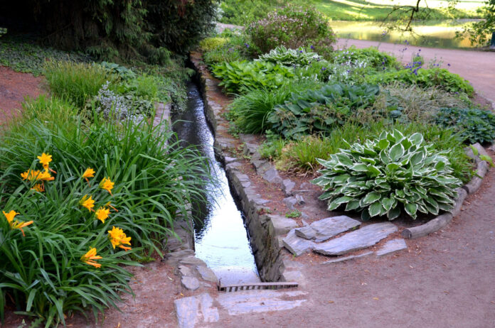 Why Proper Drainage is Essential to Your Landscape. Details on mybergen.com.