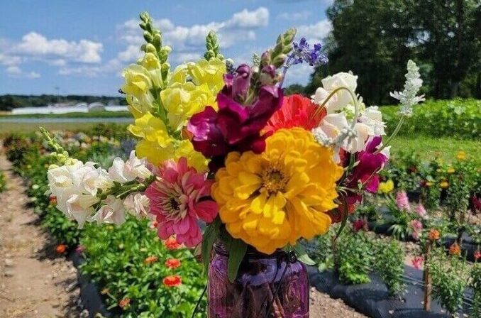 Flower Picking and Arranging Workshop at Abma's Farm. Details on mybergen.com.