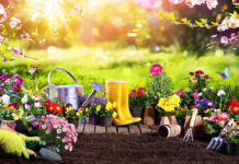 April is National Garden Month! Time to Prune— Expert Tips to Get Your Garden Spring-Ready. Read more on mybergen.com.